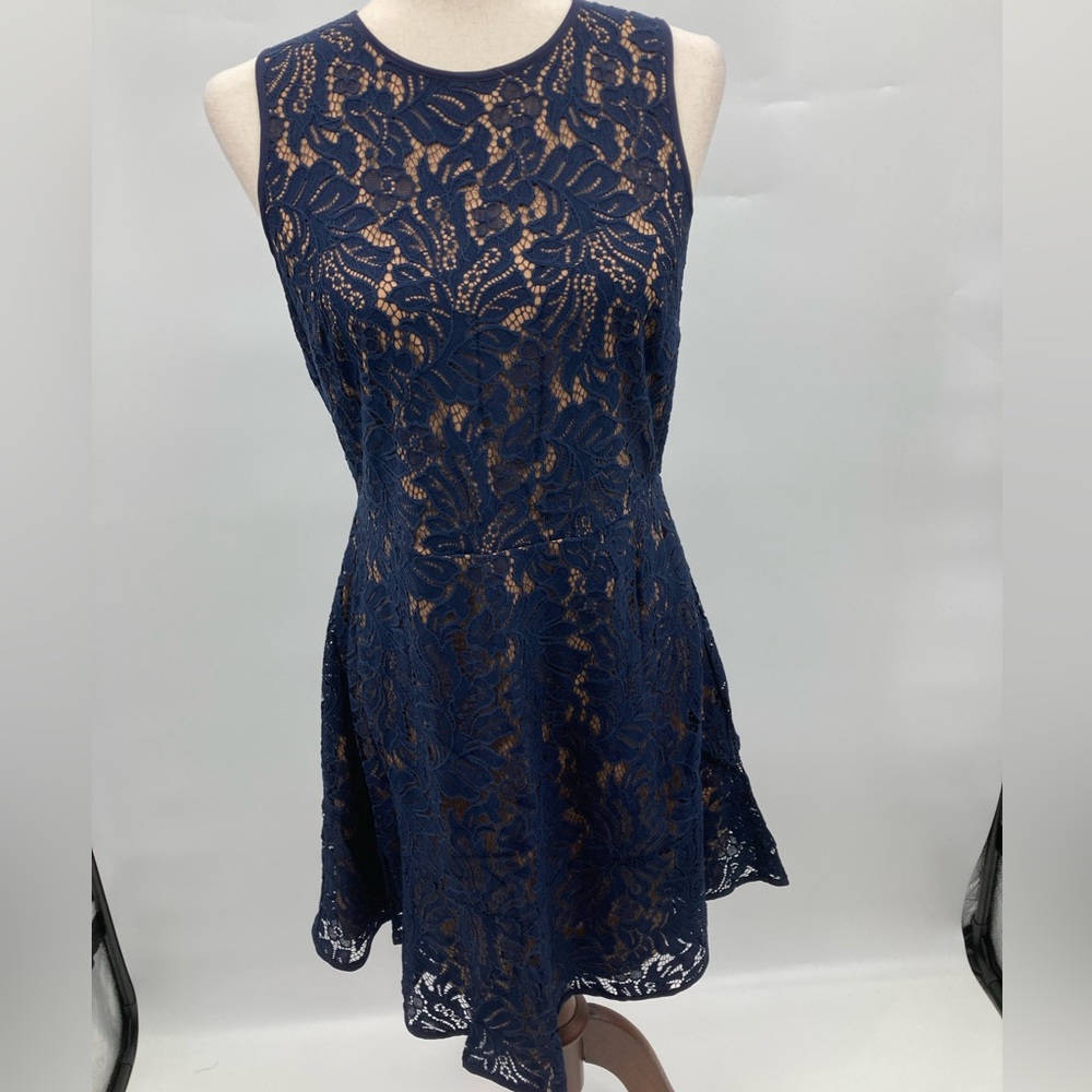 Banana Republic Women’s Petite Collection Tan/ Blue Lace Dress